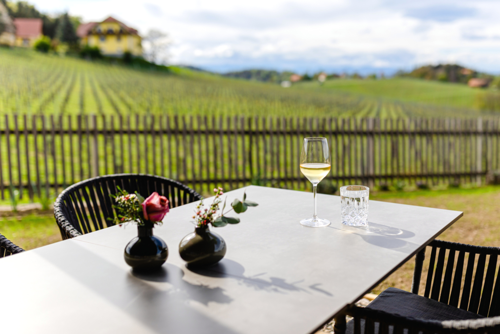 A glass of white wine at the table on the terrace, with a view of the vineyard